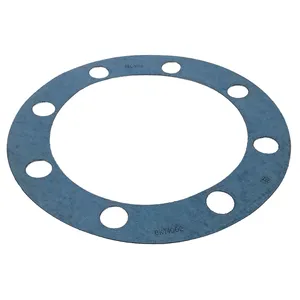 National GASKET 244616 