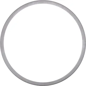 Spicer Differential Pinion Shim 220254 