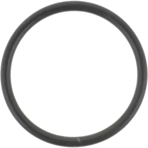 Spicer O RING 505166 