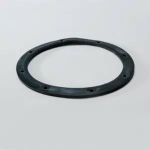 Donaldson COVER GASKET E 1079002 