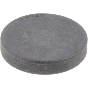 Spicer BORE PLUG 519056 