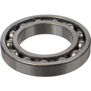 SKF Bearing 1796055 