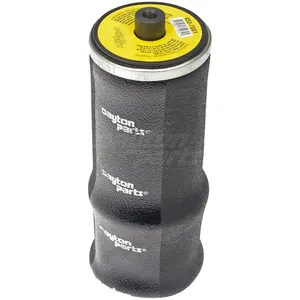 Dayton Air Spring 1481122 