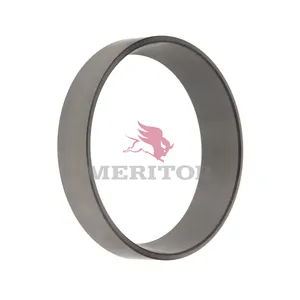 Meritor Std Whl Bg Cone 2721978 