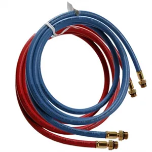 Robinair/Bosch HOSE SET FOR 34 1299466 