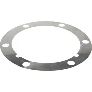 Spicer SHIM .010 549828 