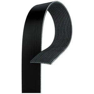 Gates BELTS 297072 