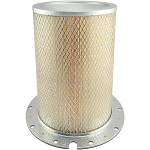 Baldwin AIR FILTER 1376620 