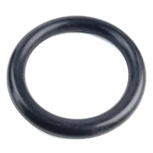 PAI O-RING 636954 