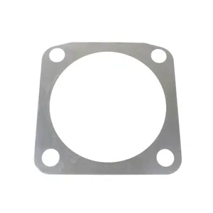 Spicer SHIM 517310 