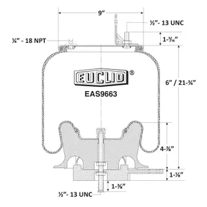 Euclid Air Spring 6350318 