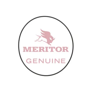 Meritor O Ring 253108 