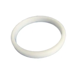 Access Truck Parts VALVE SEAT RING 2518080 