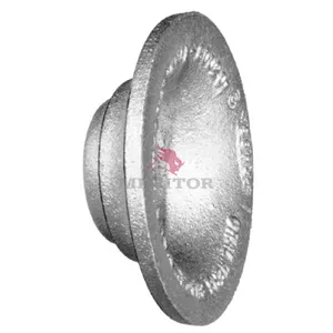 Meritor Spigot Cap 2743535 