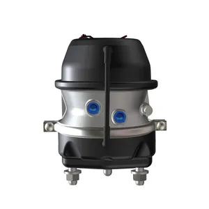 MGM Combination - Air Disc with ESP Assembly 1846237 