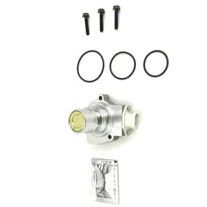 Armada Purge Valve Kit 254546 