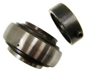 SKF Bearing 1795506 