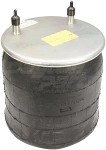 Dayton Air Spring 6123069 