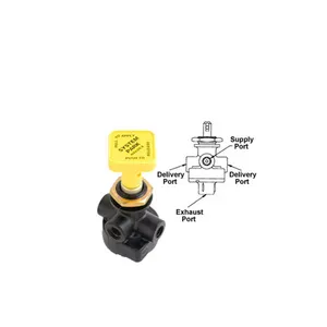 Haldex Valve Dash 2109418 