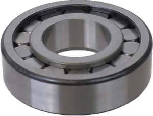 SKF Bearing 1795286 