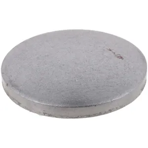 Spicer EXP PLUG SHFT FORK (20 per) 1564770 
