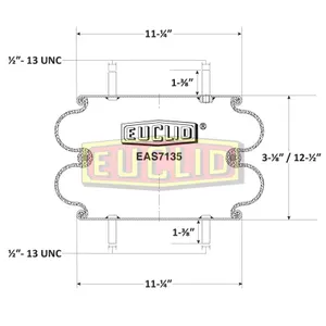 Euclid Air Spring 6350578 