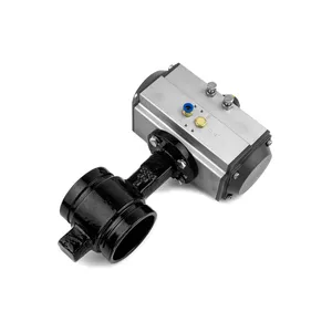 Access Truck Parts Groove Butterfly Valve (Spring Return) - 6,... 2322825 