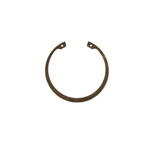 Access Truck Parts RETAINING RING 2517516 