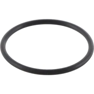 Spicer O RING 547110 