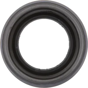 Spicer Differential Pinion Seal 232964 