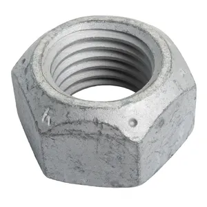 Holland NUT 371694 