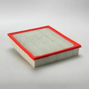 Donaldson Air Filter 276176 