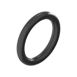 Funk O RING 1205184 