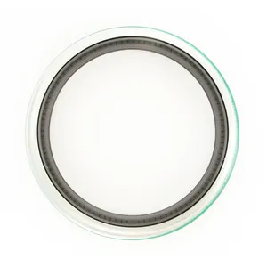 SKF Seal 333728 