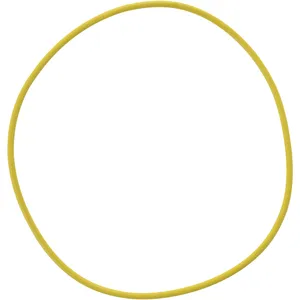 Spicer Seal (O-Ring Or Gasket) - Hubcap, Front Steer Wheel 213684 