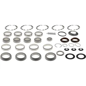 Spicer Axle Differential Bearing And Seal Kit 243028 