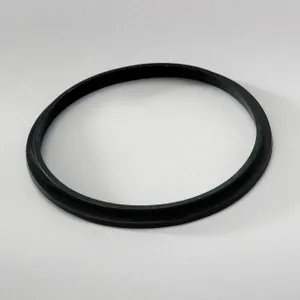 Donaldson GASKET 861194 