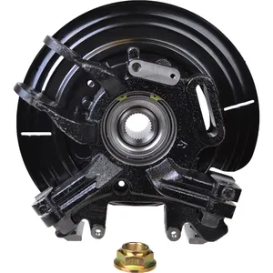 SKF Steering Knuckle 1791317 