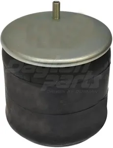 Dayton AIR SPRING 1481108 