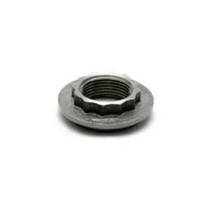 Transtar Industries Nut,Ak/As/F4/L4 /Ca/K4/P1Nut,Ak 1535402 