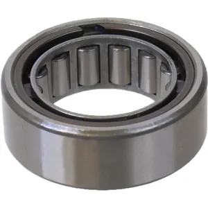 SKF Bearing 1795211 