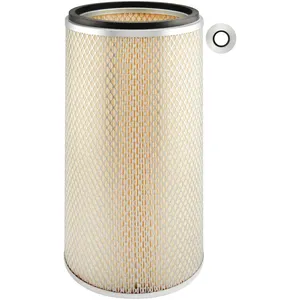 Baldwin AIR FILTER 910000 