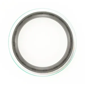 SKF Seal 485562 