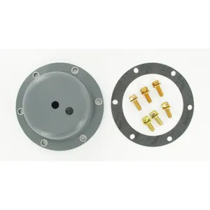 SKF Hubcap 491174 