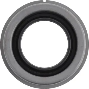 Spicer Differential Pinion Seal 242232 