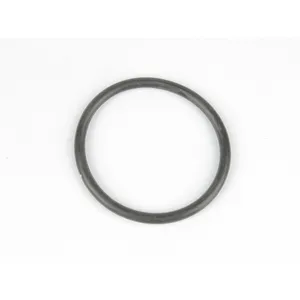 Spicer O RING 544546 
