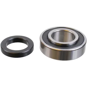 SKF Bearing 1789428 