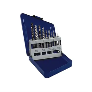 Irwin/ Hanson EXTR SET COB BI 1234463 