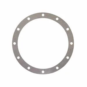 Access Truck Parts Volute Gasket (B3J/B4J) 2323656 
