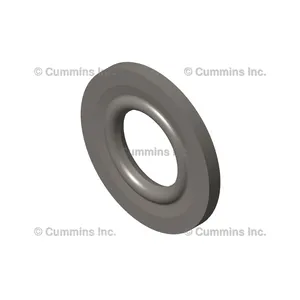Cummins Washer 1117704 